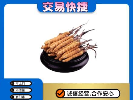 十堰市茅箭礼品回收散虫草.jpg